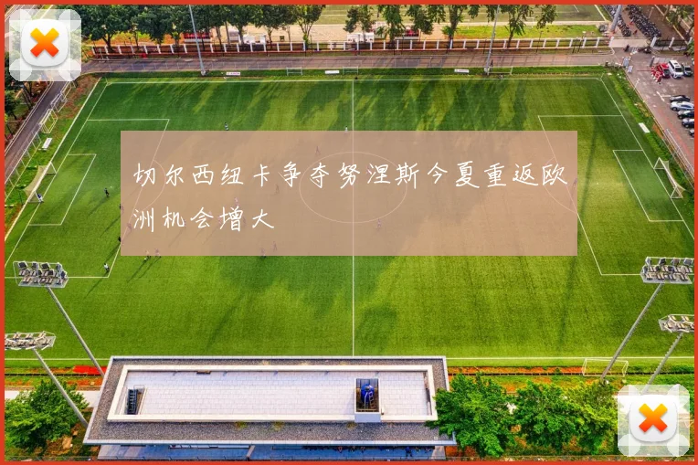 切尔西纽卡争夺努涅斯今夏重返欧洲机会增大