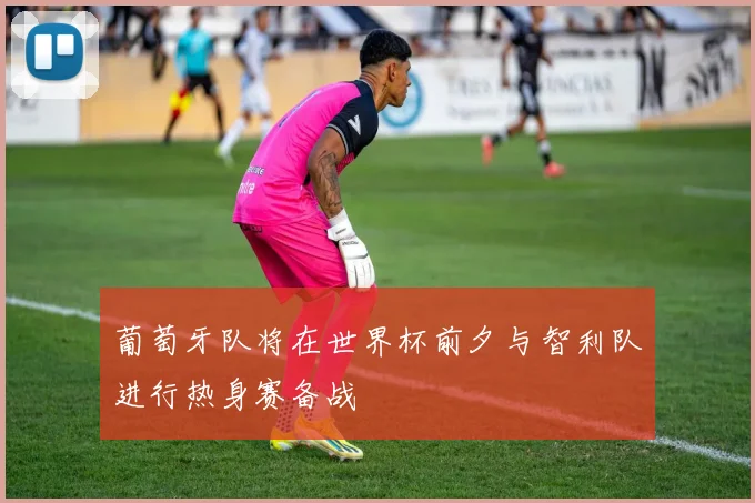 葡萄牙队将在世界杯前夕与智利队进行热身赛备战