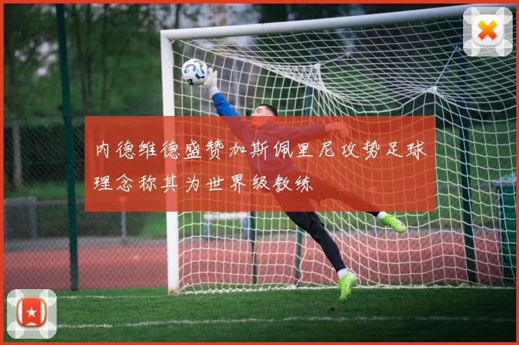 内德维德盛赞加斯佩里尼攻势足球理念称其为世界级教练