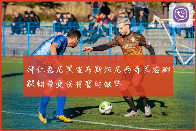 拜仁慕尼黑宣布斯坦尼西奇因右脚踝韧带受伤将暂时缺阵