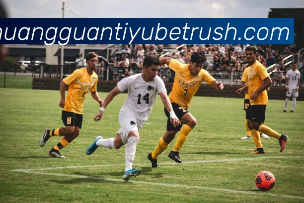 皇冠体育APP 高清赛事图